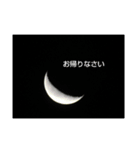 つき氏（個別スタンプ：4）