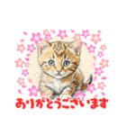 [いぬ＆ねこ]（個別スタンプ：13）