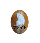 きぬ #6（個別スタンプ：4）