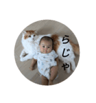 きぬ #6（個別スタンプ：15）
