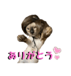 お酒とネコ好きな日常会話17（個別スタンプ：7）