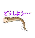 ゆるーいヘビちゃん②（個別スタンプ：11）