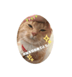teamとりのすあたま（個別スタンプ：1）