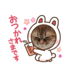 teamとりのすあたま（個別スタンプ：14）