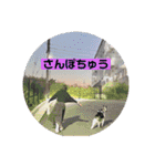 teamとりのすあたま（個別スタンプ：19）