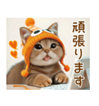 みかんニット帽 スコティッシュ猫たち 敬語（個別スタンプ：19）