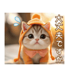 みかんニット帽 スコティッシュ猫たち 敬語（個別スタンプ：20）