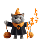 リアル着ぐるみ猫5ハロウィン（個別スタンプ：13）