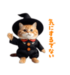 リアル着ぐるみ猫5ハロウィン（個別スタンプ：31）