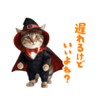 リアル着ぐるみ猫5ハロウィン（個別スタンプ：33）