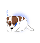 carefree dog stamp（個別スタンプ：3）