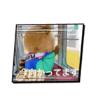 太田南地区のキャラクターのゴンタくん（個別スタンプ：11）