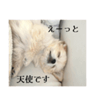 優雅なわんこむぎ（個別スタンプ：17）