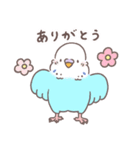 すこやかインコ7（個別スタンプ：6）