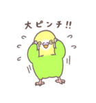 すこやかインコ7（個別スタンプ：13）