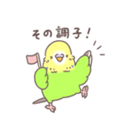 すこやかインコ7（個別スタンプ：39）