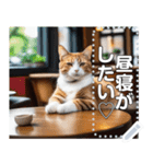 【毎日使える】まったり猫カフェ（個別スタンプ：9）