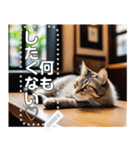 【毎日使える】まったり猫カフェ（個別スタンプ：10）