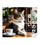 【毎日使える】まったり猫カフェ（個別スタンプ：13）