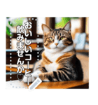 【毎日使える】まったり猫カフェ（個別スタンプ：14）