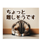 ごめんネコの待ち合わせ【土下座で謝罪】（個別スタンプ：31）