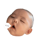 にゃんにゃのちゅいちゃん（個別スタンプ：1）