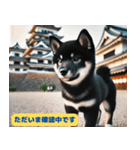 柴犬の冒険旅行日記（個別スタンプ：1）