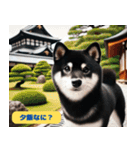 柴犬の冒険旅行日記（個別スタンプ：8）