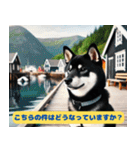 柴犬の冒険旅行日記（個別スタンプ：12）