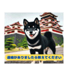 柴犬の冒険旅行日記（個別スタンプ：13）