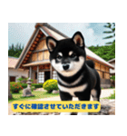 柴犬の冒険旅行日記（個別スタンプ：19）