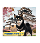 柴犬の冒険旅行日記（個別スタンプ：30）