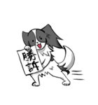 奮闘するパピヨンとちょっとめんだこ（個別スタンプ：1）