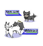 奮闘するパピヨンとちょっとめんだこ（個別スタンプ：5）
