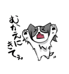 奮闘するパピヨンとちょっとめんだこ（個別スタンプ：6）
