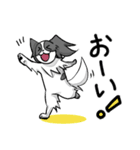 奮闘するパピヨンとちょっとめんだこ（個別スタンプ：16）