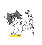奮闘するパピヨンとちょっとめんだこ（個別スタンプ：17）
