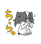奮闘するパピヨンとちょっとめんだこ（個別スタンプ：22）