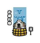 ビーグル犬ポップアップ11月(犬の日)（個別スタンプ：11）