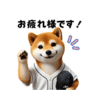 【敬語】リアル野球しば犬（個別スタンプ：1）