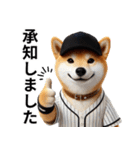 【敬語】リアル野球しば犬（個別スタンプ：2）