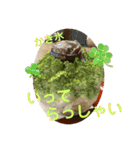 世界の色んな食べ物第3弾（個別スタンプ：13）