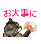 毎日使える！ ねこのチビさん（個別スタンプ：15）