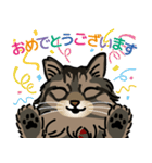 毎日使える！ ねこのチビさん（個別スタンプ：16）