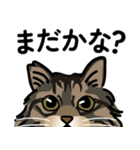 毎日使える！ ねこのチビさん（個別スタンプ：24）