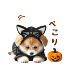 コーギーのハロウィンづくしスタンプ（個別スタンプ：12）