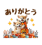 コーギーのハロウィンづくしスタンプ（個別スタンプ：13）