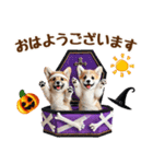 コーギーのハロウィンづくしスタンプ（個別スタンプ：18）