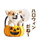 コーギーのハロウィンづくしスタンプ（個別スタンプ：33）