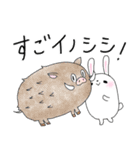 ダジャレ！白うさぎ（日常会話）（個別スタンプ：16）